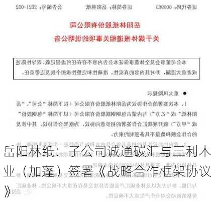 岳阳林纸：子公司诚通碳汇与三利木业（加蓬）签署《战略合作框架协议》