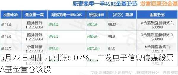 5月22日四川九洲涨6.07%，广发电子信息传媒股票A基金重仓该股