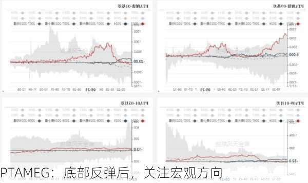 PTAMEG：底部反弹后，关注宏观方向