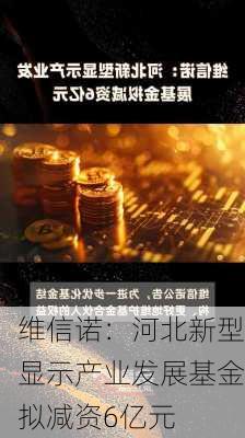 维信诺：河北新型显示产业发展基金拟减资6亿元