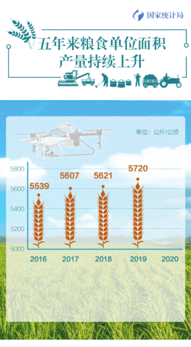 CBOT市场动态：大豆微跌，玉米小麦强劲上涨