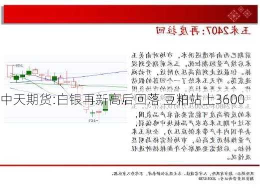 中天期货:白银再新高后回落 豆粕站上3600