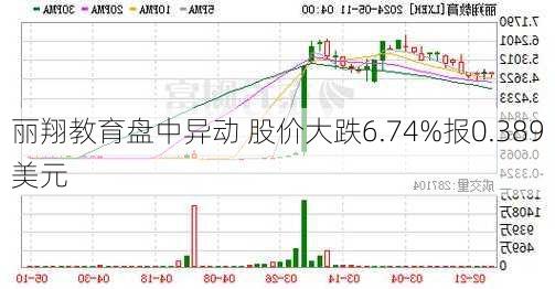 丽翔教育盘中异动 股价大跌6.74%报0.389美元