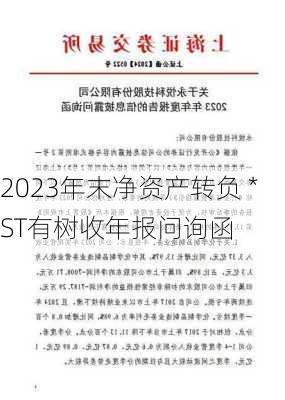 2023年末净资产转负 *ST有树收年报问询函