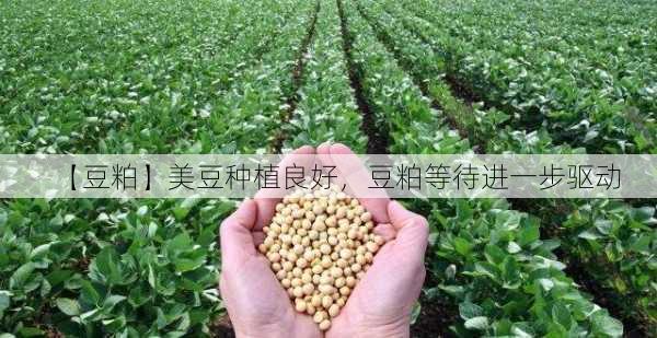 【豆粕】美豆种植良好，豆粕等待进一步驱动