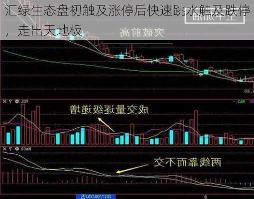 汇绿生态盘初触及涨停后快速跳水触及跌停，走出天地板