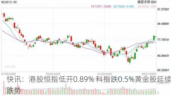 快讯：港股恒指低开0.89% 科指跌0.5%黄金股延续跌势