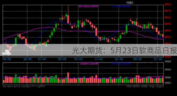 光大期货：5月23日软商品日报