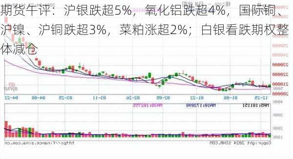 期货午评：沪银跌超5%，氧化铝跌超4%，国际铜、沪镍、沪铜跌超3%，菜粕涨超2%；白银看跌期权整体减仓