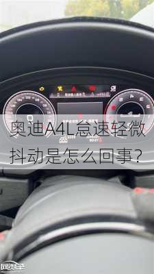 奥迪A4L怠速轻微抖动是怎么回事？