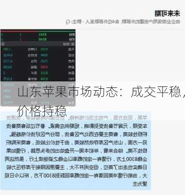 山东苹果市场动态：成交平稳，价格持稳