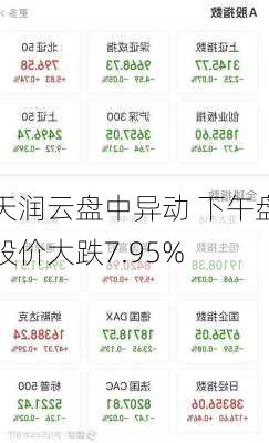 天润云盘中异动 下午盘股价大跌7.95%