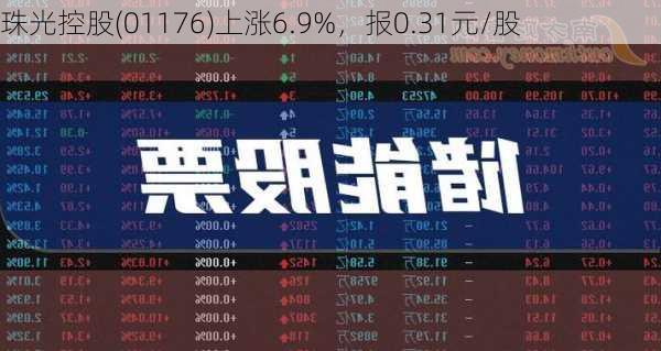 珠光控股(01176)上涨6.9%，报0.31元/股