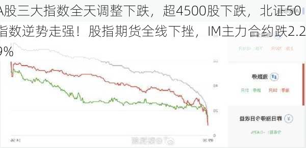 A股三大指数全天调整下跌，超4500股下跌，北证50指数逆势走强！股指期货全线下挫，IM主力合约跌2.29%