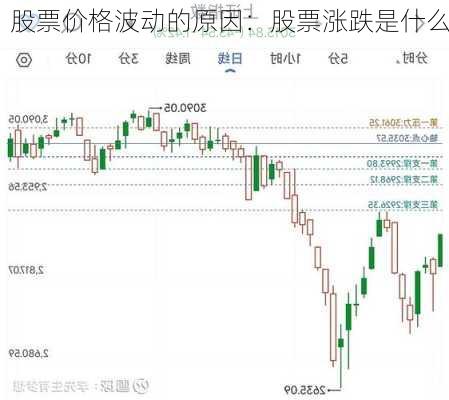 股票价格波动的原因：股票涨跌是什么