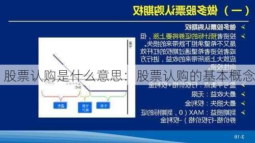 股票认购是什么意思：股票认购的基本概念