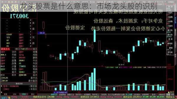 龙头股票是什么意思：市场龙头股的识别