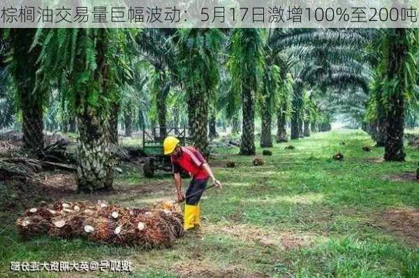 棕榈油交易量巨幅波动：5月17日激增100%至200吨