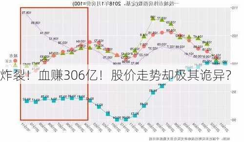 炸裂！血赚306亿！股价走势却极其诡异？