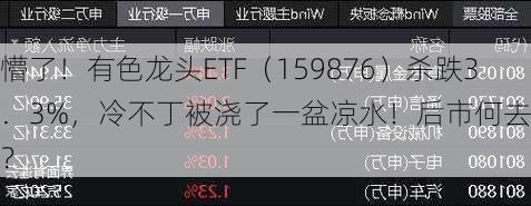 懵了！有色龙头ETF（159876）杀跌3．3%，冷不丁被浇了一盆凉水！后市何去何从？