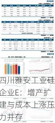 四川雅安工业硅企业E：增产扩建与成本上涨压力并存