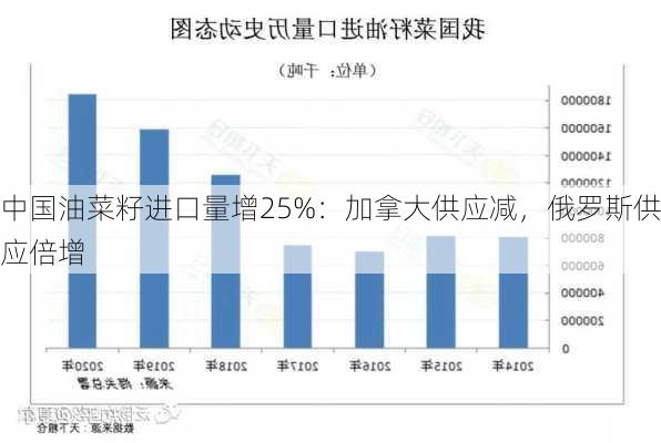 中国油菜籽进口量增25%：加拿大供应减，俄罗斯供应倍增