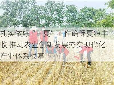 扎实做好“三夏”工作确保夏粮丰收 推动农业创新发展夯实现代化产业体系根基