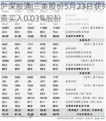 沪深股通|三美股份5月23日获外资买入0.03%股份