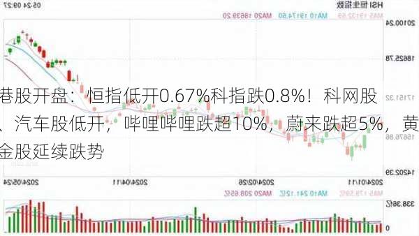 港股开盘：恒指低开0.67%科指跌0.8%！科网股、汽车股低开，哔哩哔哩跌超10%，蔚来跌超5%，黄金股延续跌势