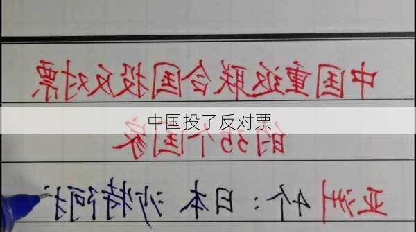 中国投了反对票