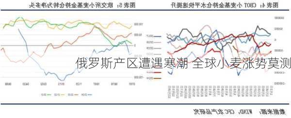 俄罗斯产区遭遇寒潮 全球小麦涨势莫测