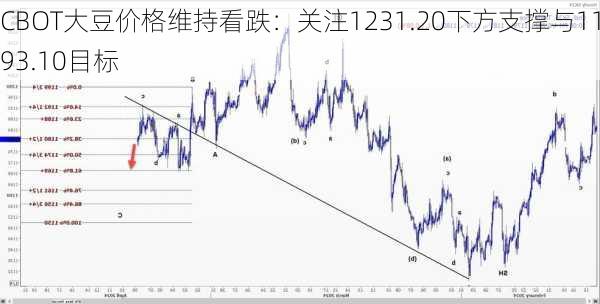 CBOT大豆价格维持看跌：关注1231.20下方支撑与1193.10目标