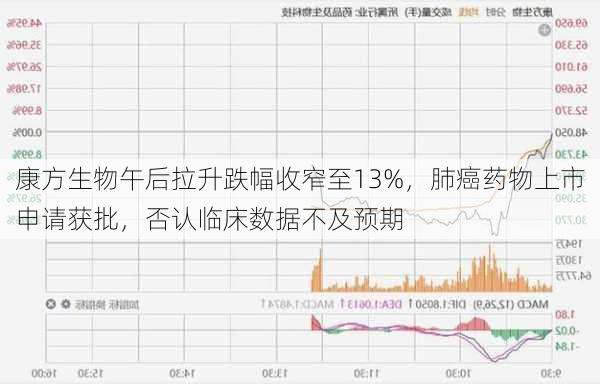 康方生物午后拉升跌幅收窄至13%，肺癌药物上市申请获批，否认临床数据不及预期