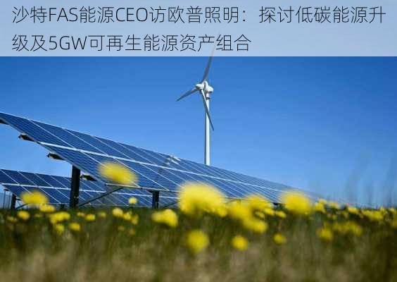 沙特FAS能源CEO访欧普照明：探讨低碳能源升级及5GW可再生能源资产组合