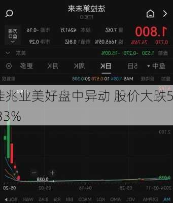 佳兆业美好盘中异动 股价大跌5.33%