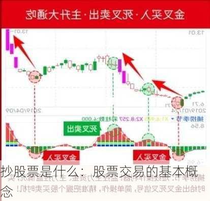 抄股票是什么：股票交易的基本概念