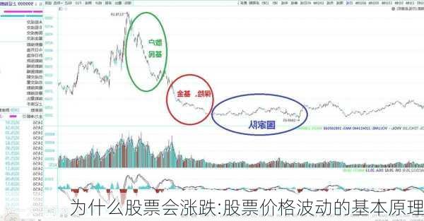 为什么股票会涨跌:股票价格波动的基本原理