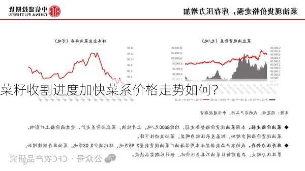 菜籽收割进度加快菜系价格走势如何？