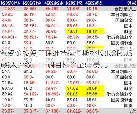 鑫资金投资管理维持科佩斯控股(KOP.US)买入评级，下调目标价至65美元