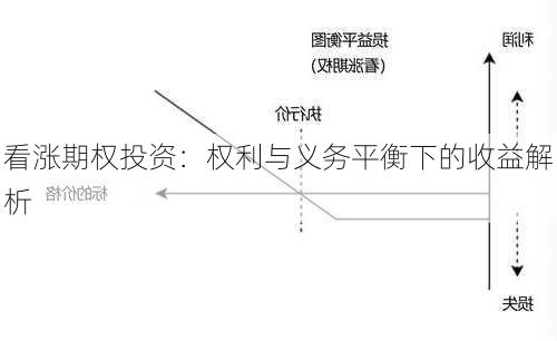 看涨期权投资：权利与义务平衡下的收益解析