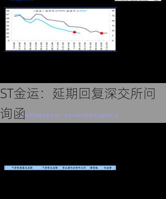 ST金运：延期回复深交所问询函