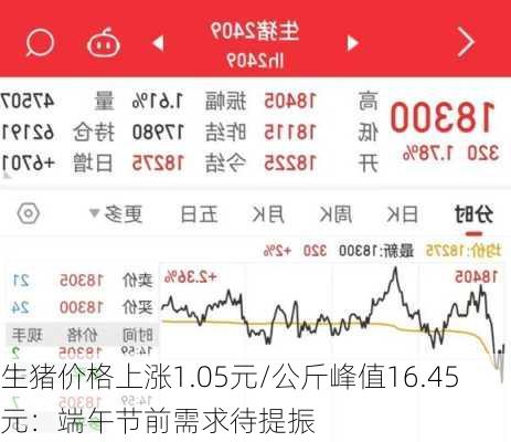 生猪价格上涨1.05元/公斤峰值16.45元：端午节前需求待提振