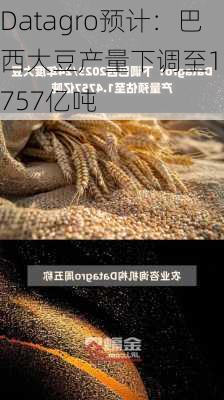 Datagro预计：巴西大豆产量下调至1.4757亿吨