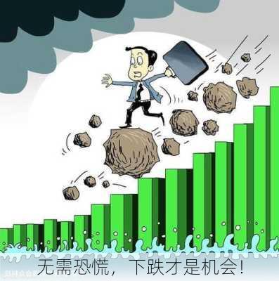 无需恐慌，下跌才是机会！