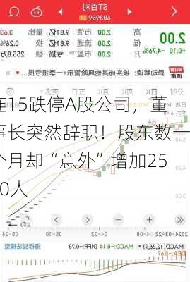 连15跌停A股公司，董事长突然辞职！股东数一个月却“意外”增加2500人