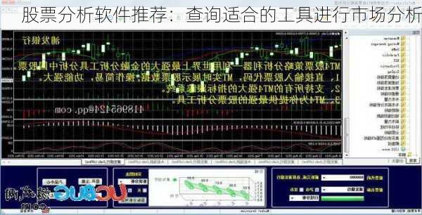 股票分析软件推荐：查询适合的工具进行市场分析