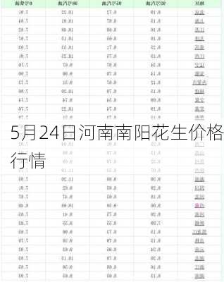 5月24日河南南阳花生价格行情