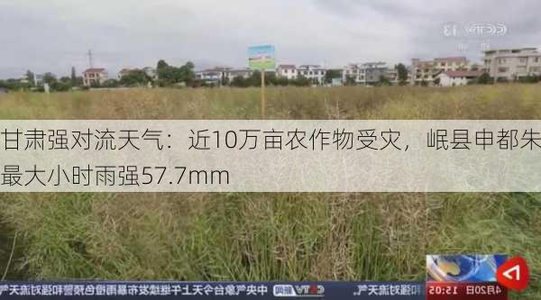 甘肃强对流天气：近10万亩农作物受灾，岷县申都朱家最大小时雨强57.7mm