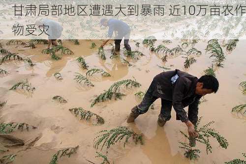 甘肃局部地区遭遇大到暴雨 近10万亩农作物受灾