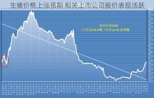 生猪价格上涨预期 相关上市公司股价表现活跃